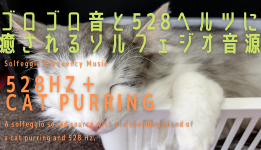 【528Hz +猫の喉のゴロゴロ音】 ごろごろ音と528ヘルツに癒されるソルフェジオ音源